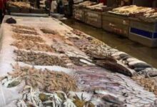 تراجع في أسعار السمك بعد حملات المقاطعة