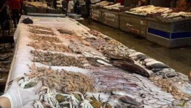 تراجع في أسعار السمك بعد حملات المقاطعة